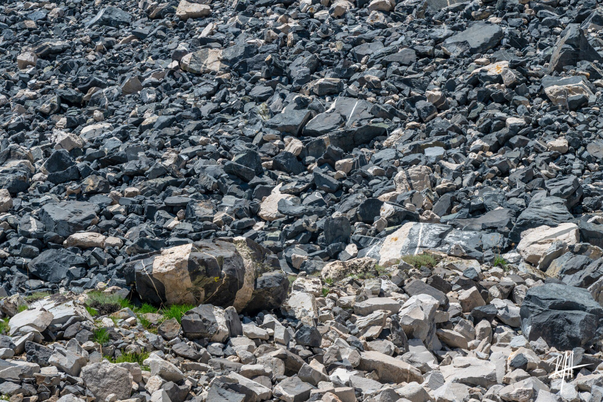Gabbro talus pile with lots of felsic veins and dikes cross cutting boulders. Largest boulder is about 10' wide. 