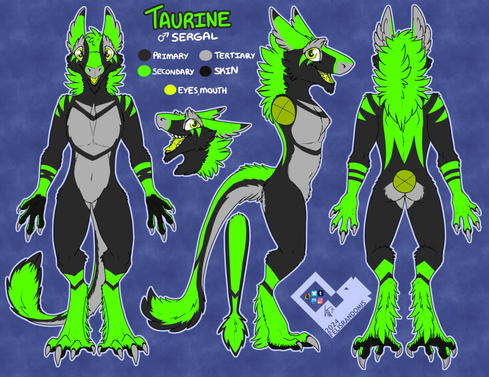 digital art reference of a black, grey, and neon green sergal character, made with front/back/side views for a fursuit reference.