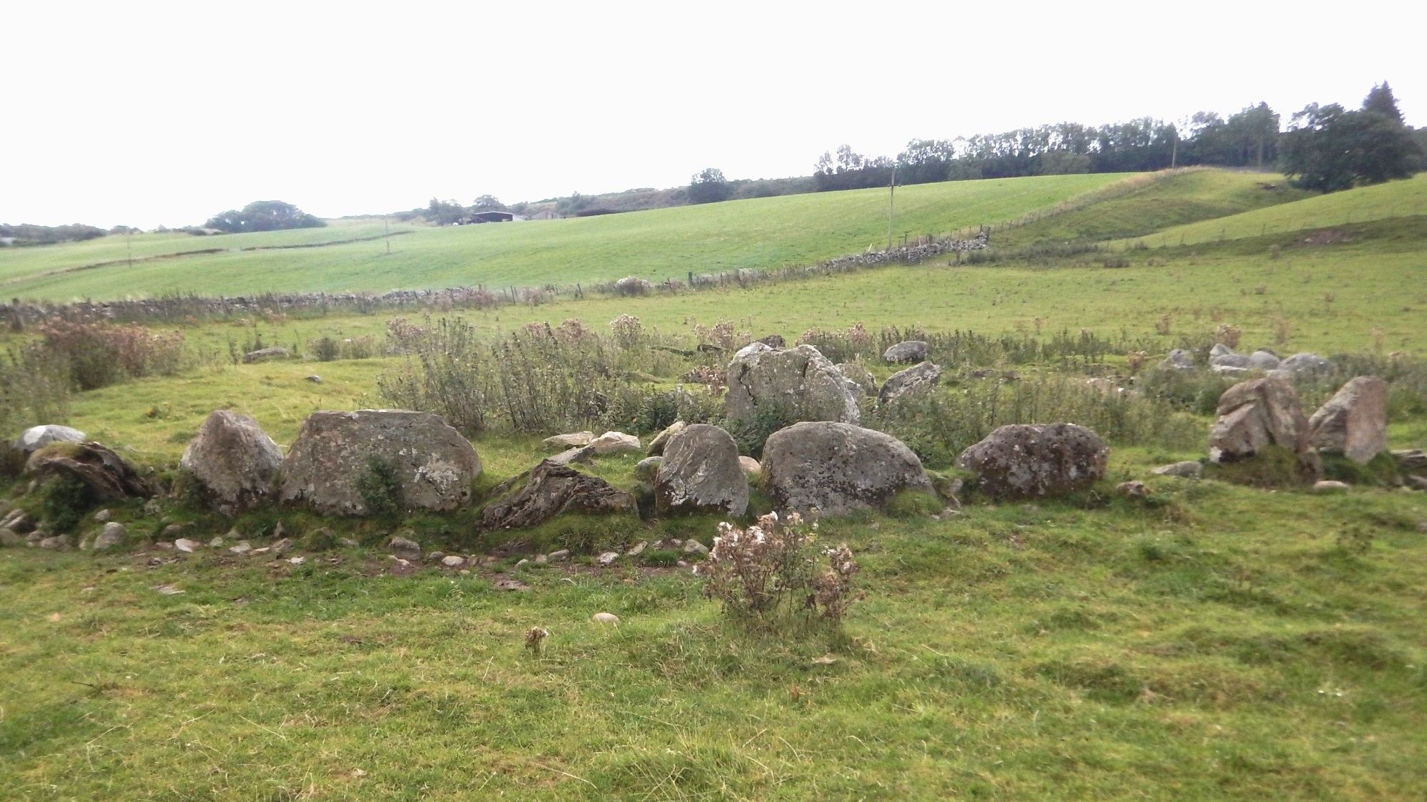 A somewhat irregular circular kerb, of both split stones and boulders; with a diameter of about 27 metres located in a field.