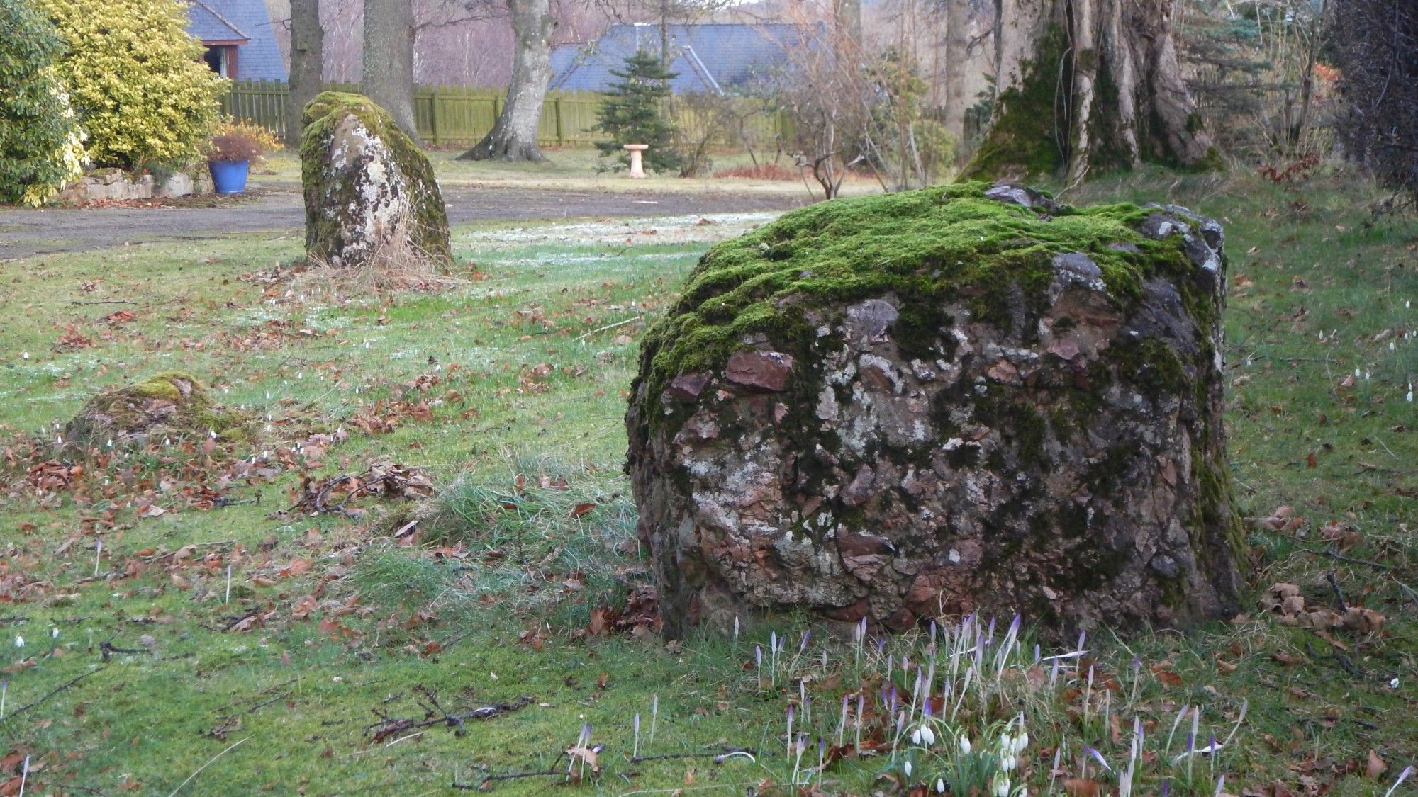 Two small stones standing on a garden lawn with a smaller boulder to the left. The tallest is one metre high.