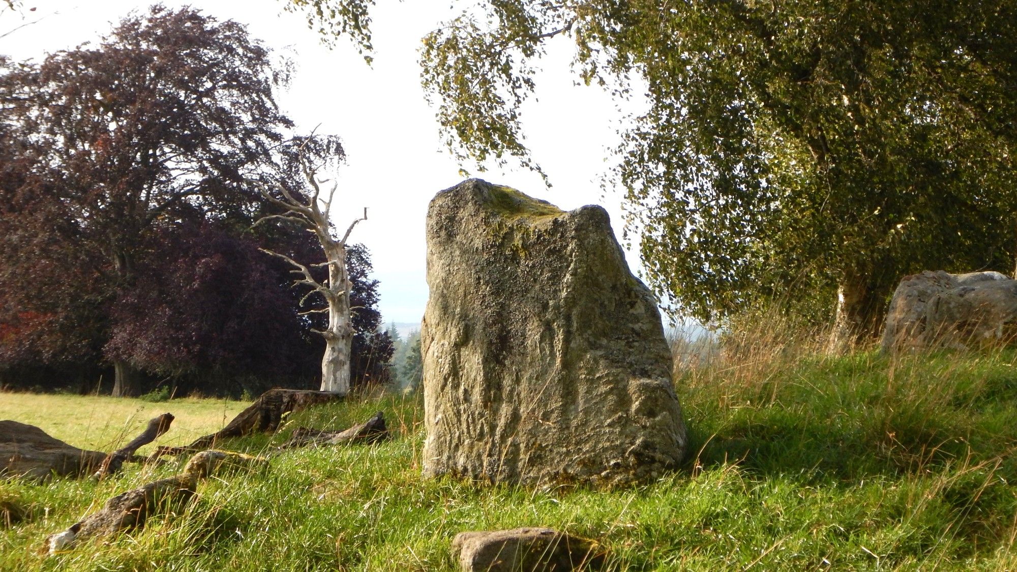 Single standing stone on the mound of a Clava Cairn with mature, broadleaf trees in the background.