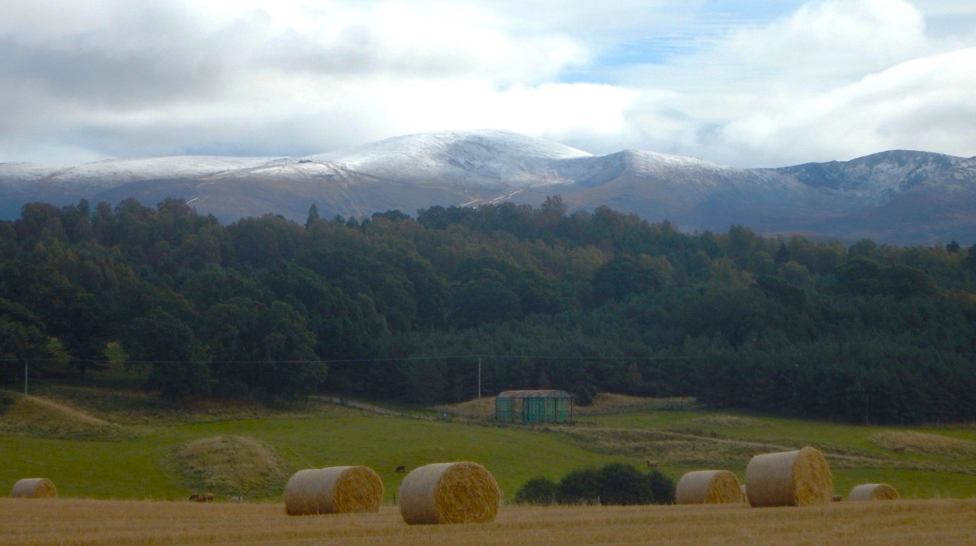 Hay bales in a field low down with a dusting of snow on Cairn Gorm mountain in the background.