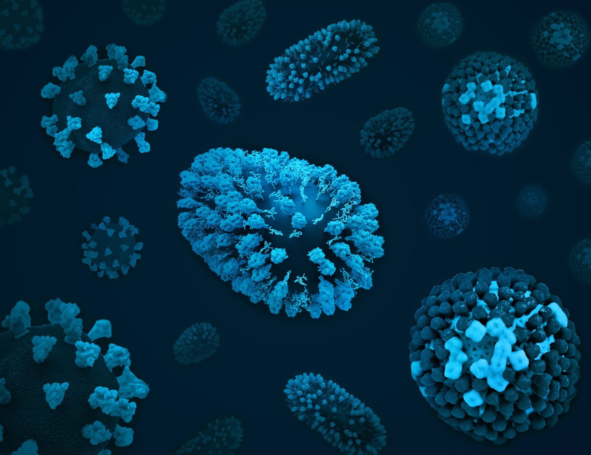 3D renditions of three respiratory viruses: COVID-19 (left), RSV (center; oblong shape), and flu (right). Credit: NIAID