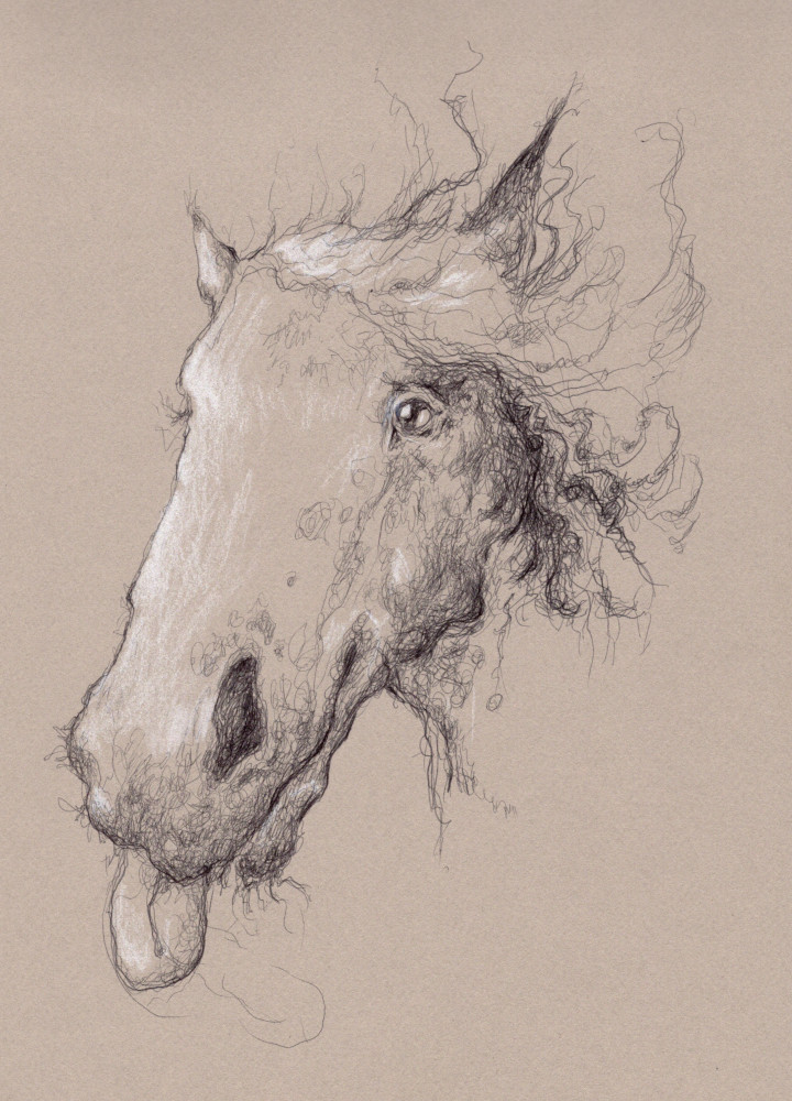 A ballpoint pen and chalk drawing of a horse with its tongue hanging out.