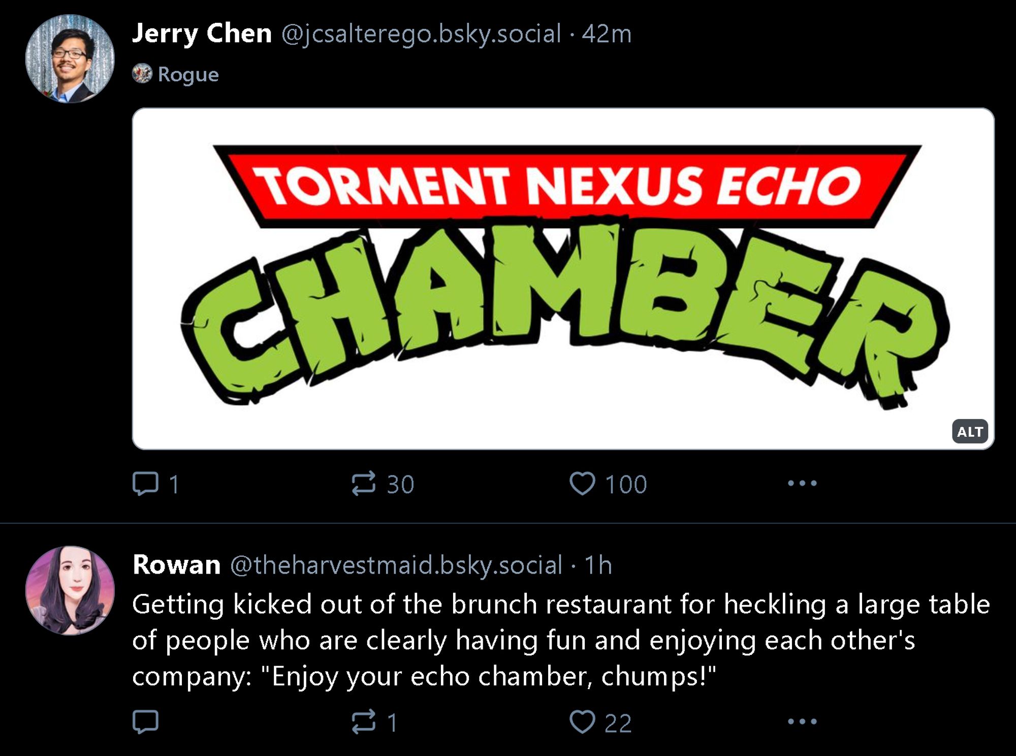 screenshot of 2 posts on bluesky in feed and both are coincidentally about echo chambers