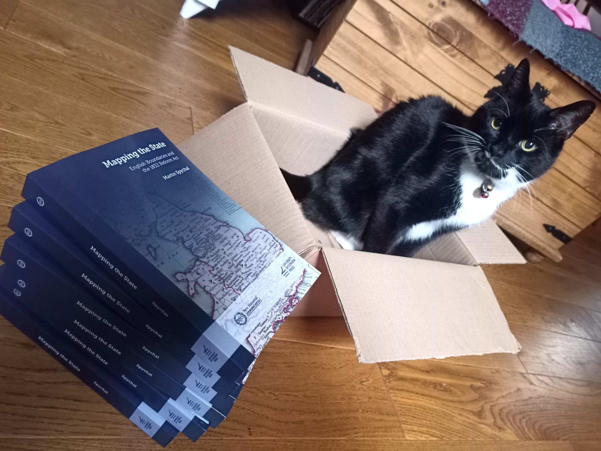 A pile of books next to a cat in a box