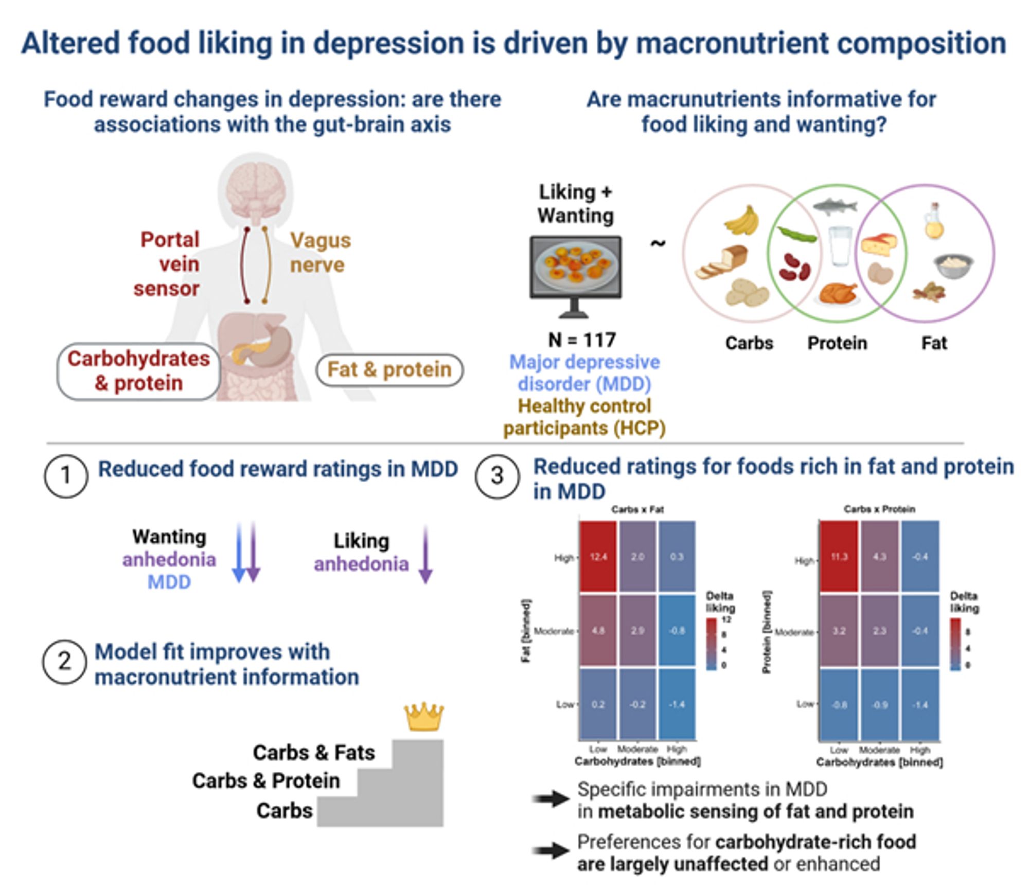 Altered food liking in depression is driven by macronutrient composition of the depicted food. We analyzed wanting and liking ratings of patients with major depressive disorder (MDD) and matched healthy control participants. Patients with MDD reported lower food wanting, whereas food liking was primarily associated with symptoms of anhedonia. We then evaluated whether the macronutrient composition of the food accounted for differences in ratings. This led to a substantial improvement in models and showed that patients with MDD show specific deficits for food rich in fat and protein.