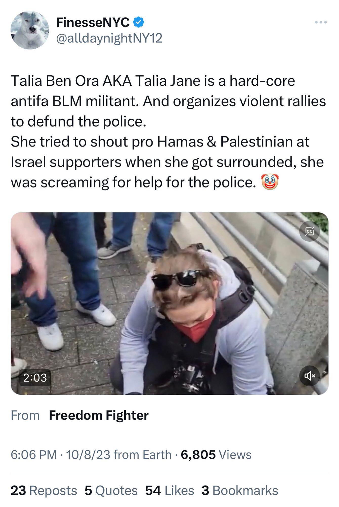 tweet from a blue check account called “finesse nyc” that states:
Talia Ben Ora AKA Talia Jane is a hard-core antifa BLM militant. And organizes violent rallies to defund the police.
She tried to shout pro Hamas & Palestinian at Israel supporters when she got surrounded, she was screaming for help for the police.

includes a video of me filmed by ronen levy, who is insane, as i’m surrounded by people screaming at me because he and his brother were yelling that i support hamas.