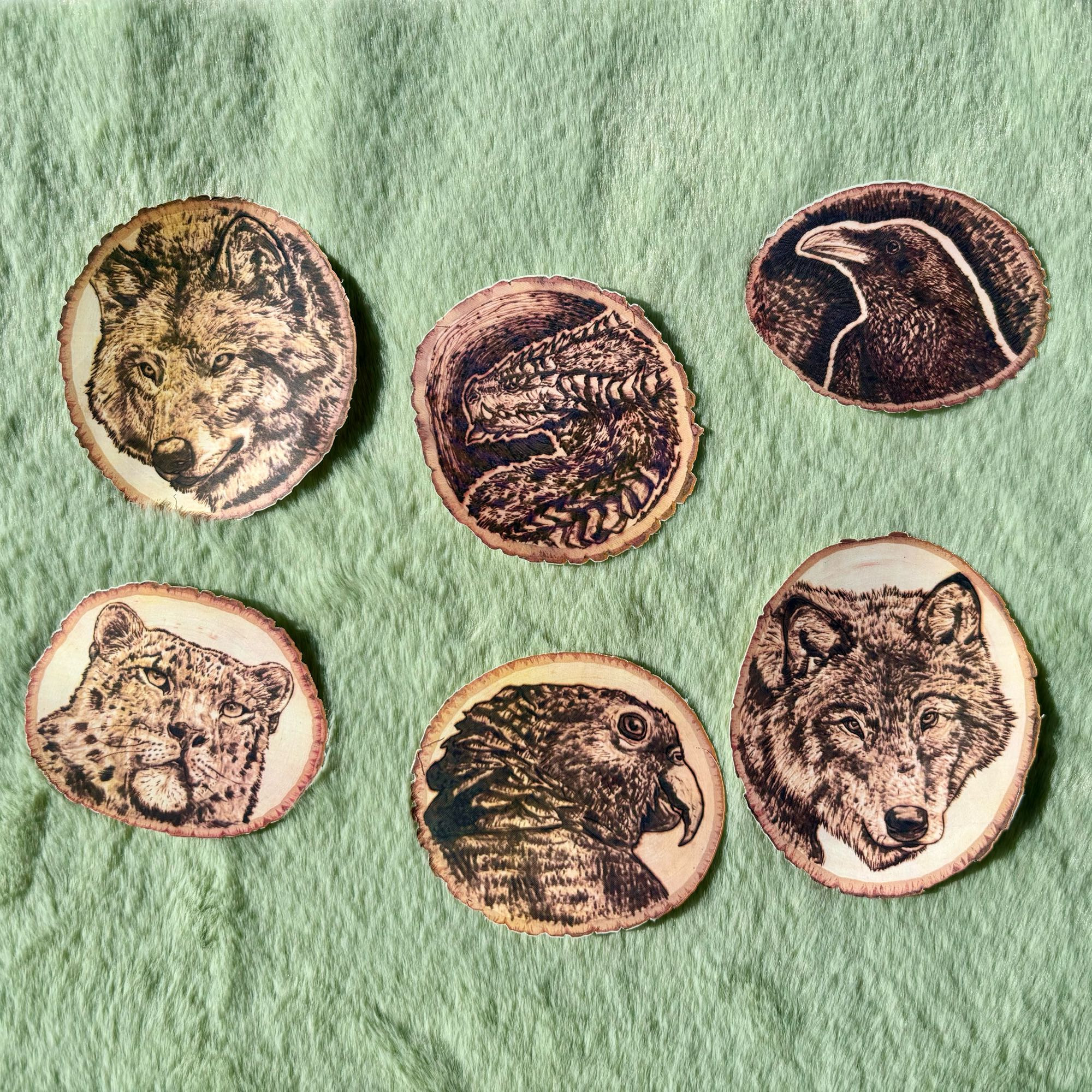 Wood burning stickers of wolves, a dragon, raven, snow leopard, and parrot.