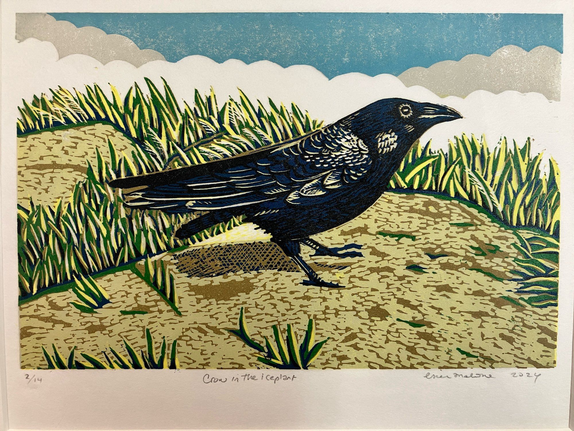 Color linoleum blockprint of a crow standing on a sandy hill surrounded by ice plant