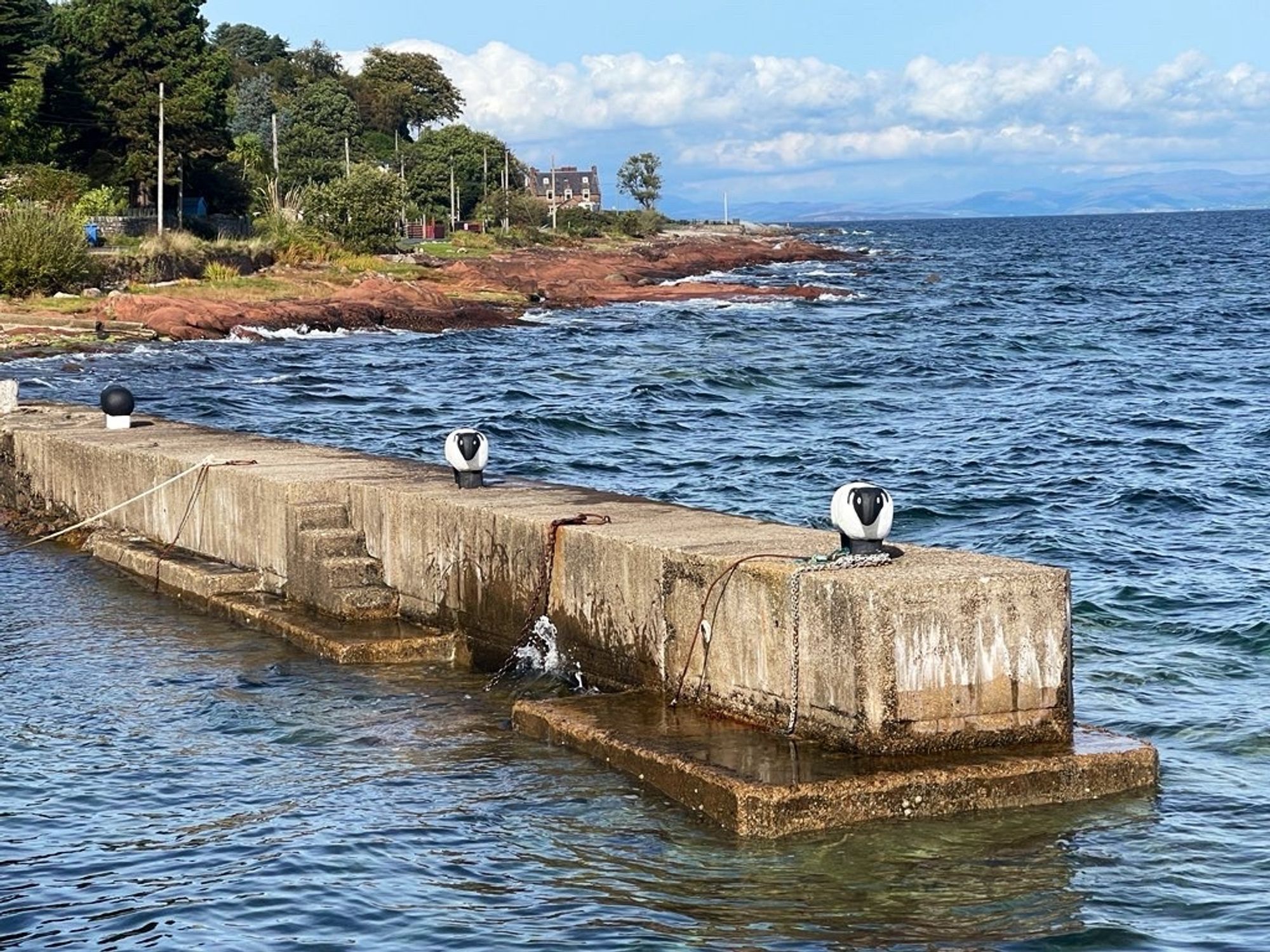 Maritime sheep at Corrie