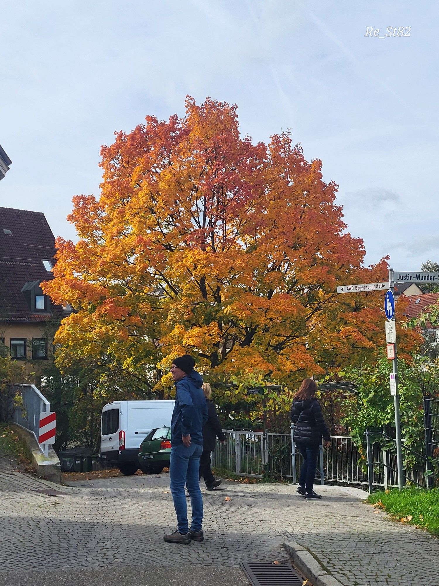 Ein orange, rot, gefärbter Baum, davor drei Personen auf einer Kopfsteinpflasterstraße, der Himmel ist bedeckt,