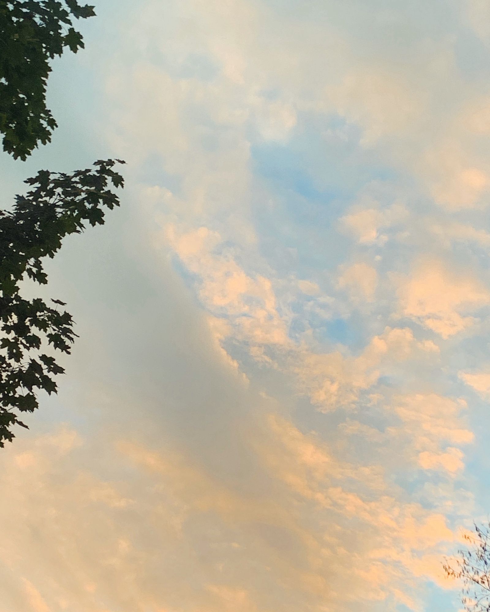 October sky, with some still-green leaves off to the left.