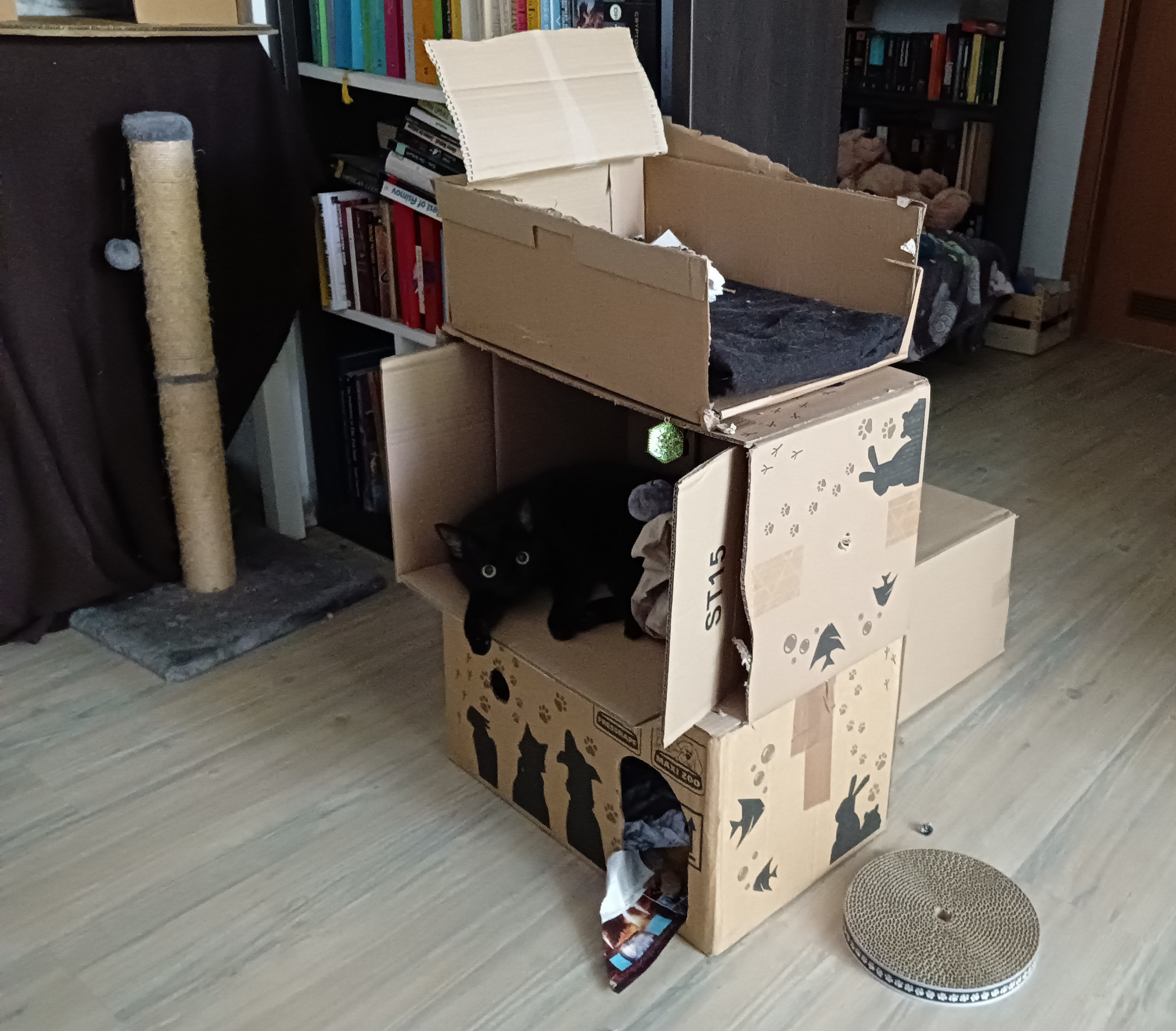 Box tower for my cats