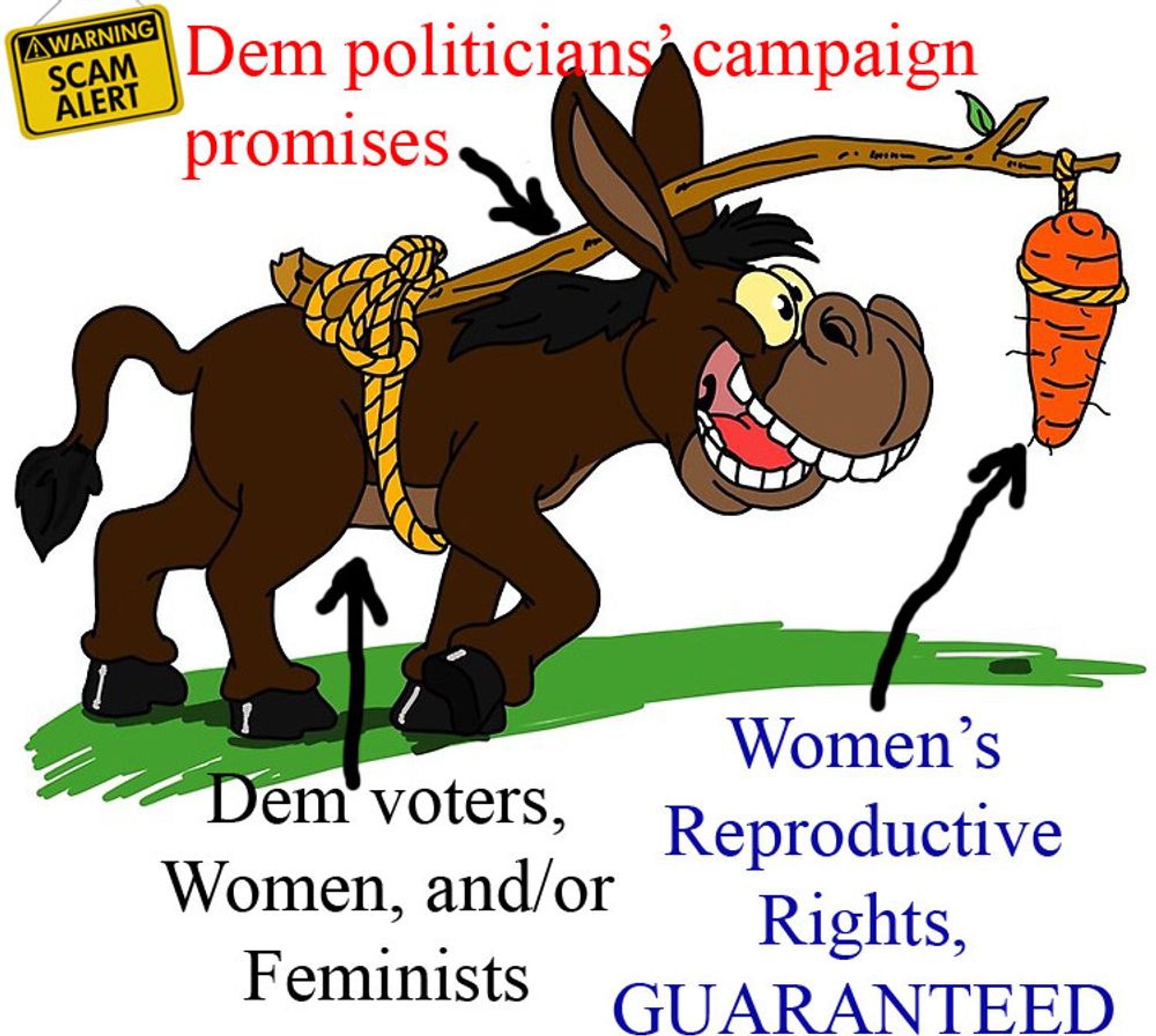 GUARANTEED Women's Reproductive Rights as the perennial carrot, always just out of reach of the donkey, because the PROMISE is just too valuable a vote-winner at election time. Once settled, the Dems would lose this campaign tool.