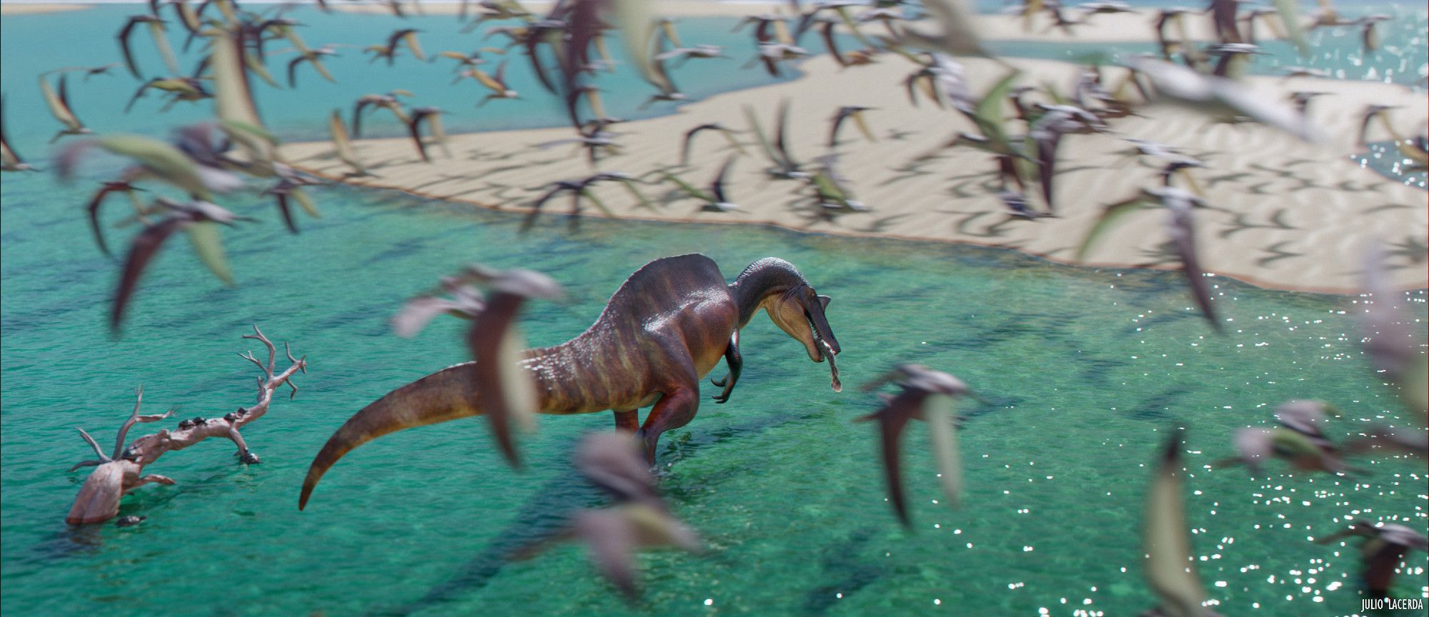 Angaturama, a genus of spinosaurid dinosaur, walks through shallow tropical waters carrying a fish in its mouth, towards a sand bank. A flock of pterosaurs flies all around it. Some turtles hang out on top of and around a log in the water.