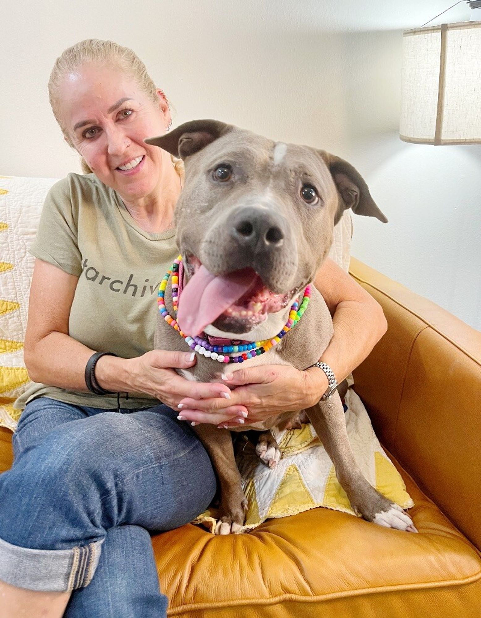 Adelaide Cupcake the Cuddling Queen is a Adult American Staffordshire Terrier mix