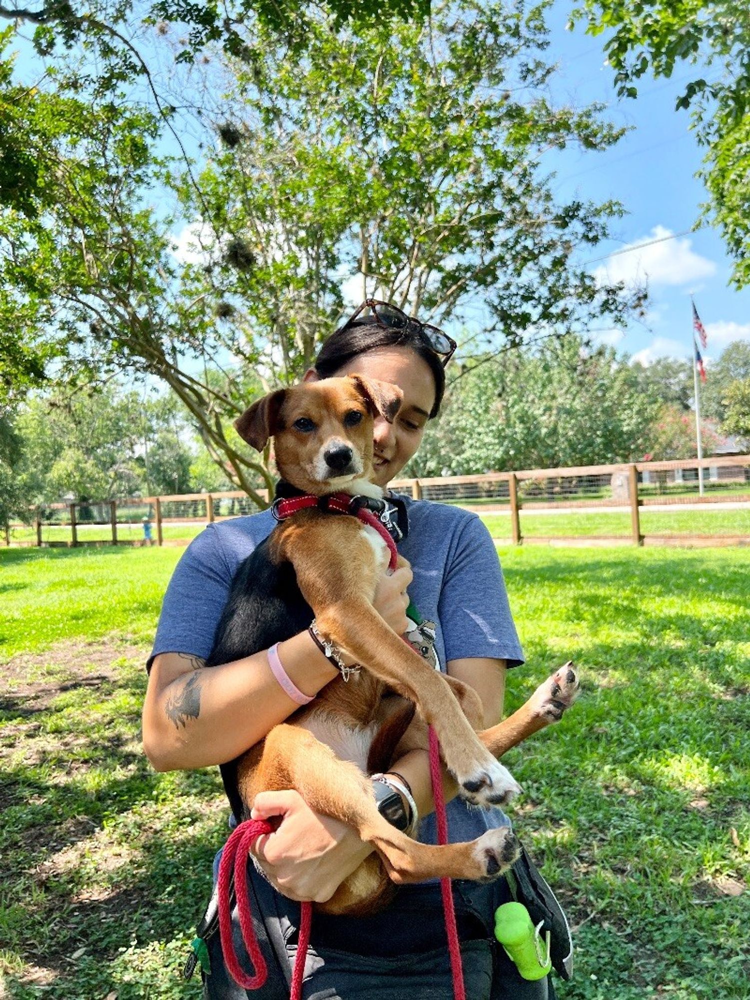 Princess Tiana is a Adult Chihuahua mix