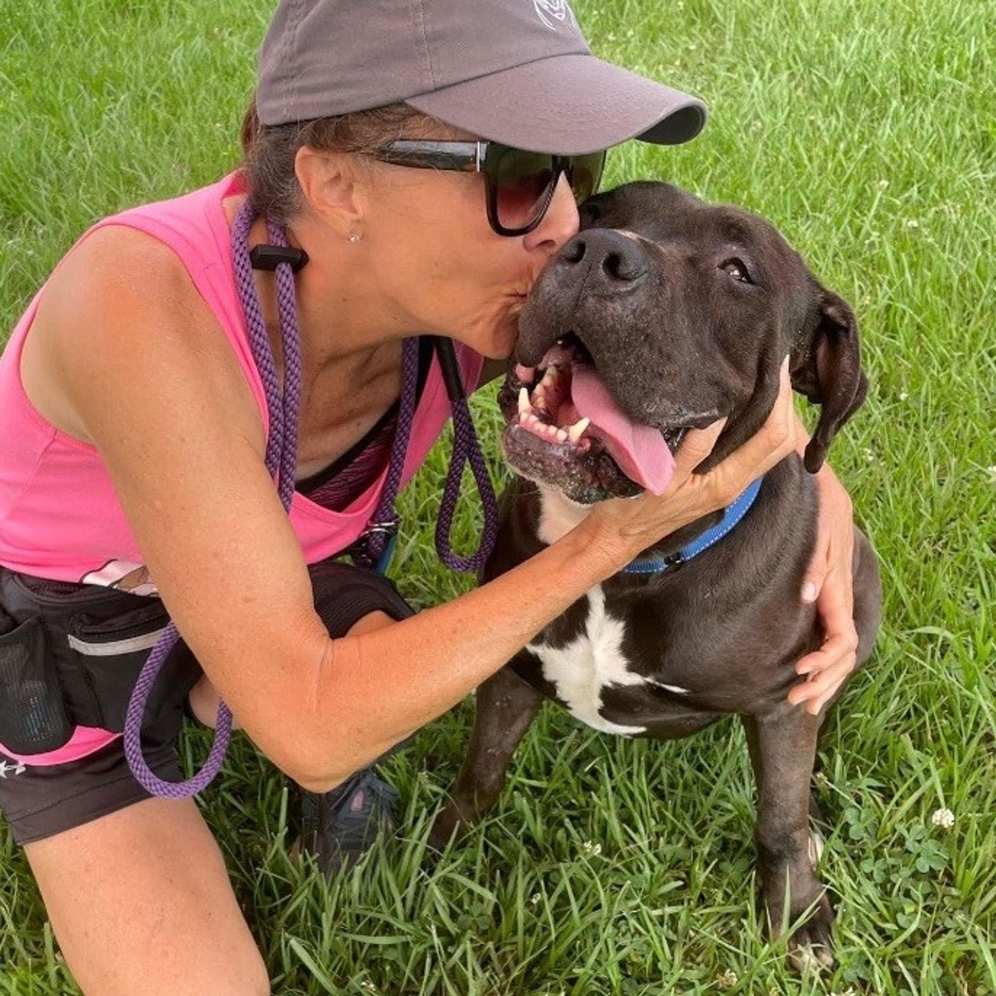 Sammy the Couch Potato Cuddler is a Senior American Staffordshire Terrier mix described as: Affectionate, Friendly, Playful, Laid Back, Goofy, Loves Belly Rubs and Gentle