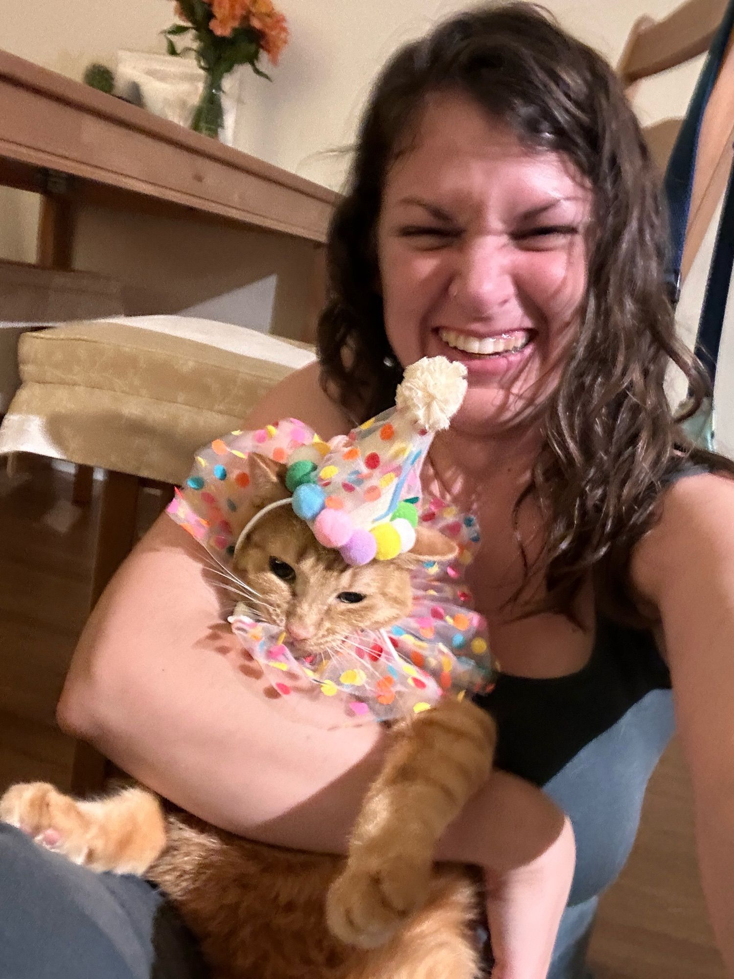 A woman laughing as she holds a short-haired orange tabby trying to escape from her polka-dotted birthday collar and matching birthday hat with a ‘1’ for her first birthday