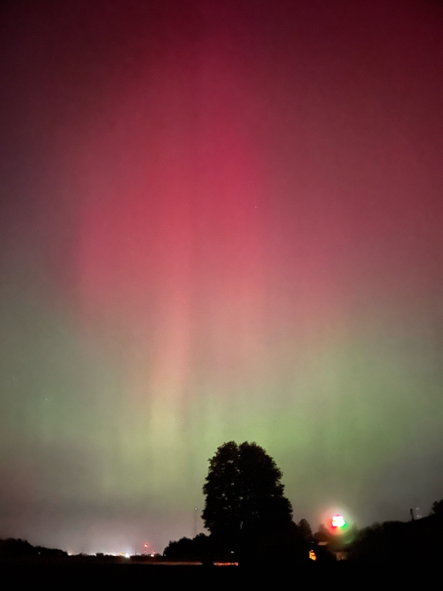 The green and red aurora hangs in the sky over the green and red glow of a Casey’s highway sign. A large tree is also silhouetted in the foreground.