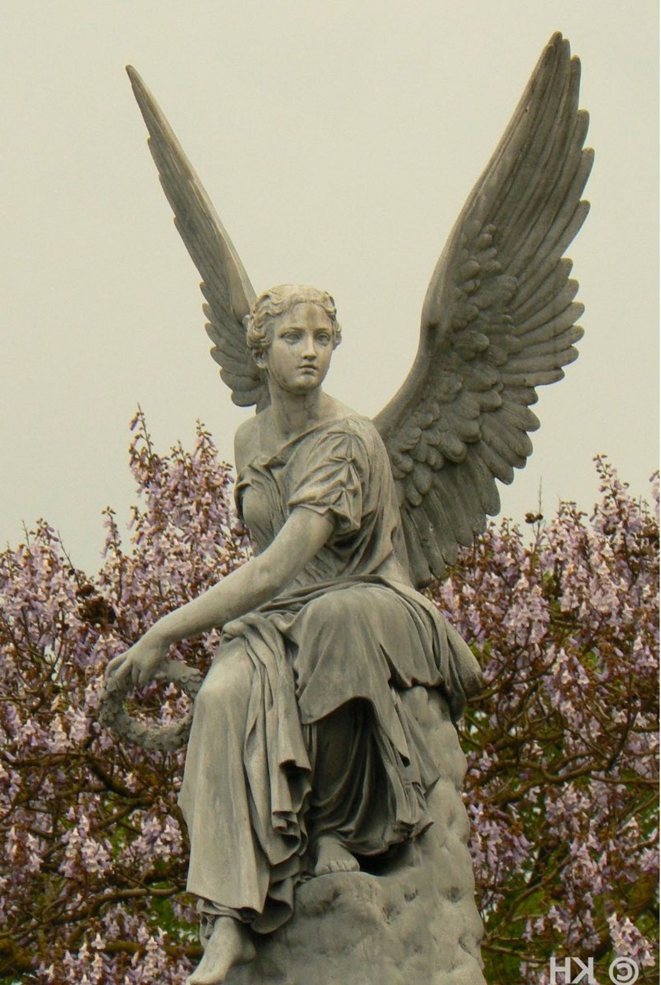 Reference 2- Angel statue in front of a flower tree