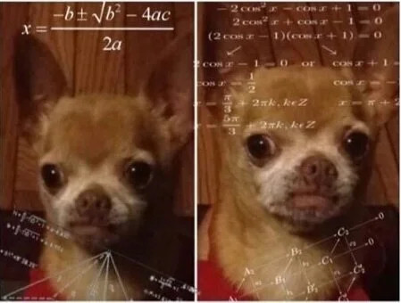 Dog math meme. A brown chihuahua face is seen with a confused look. All around its face are advanced math equations including the quadratic formula.