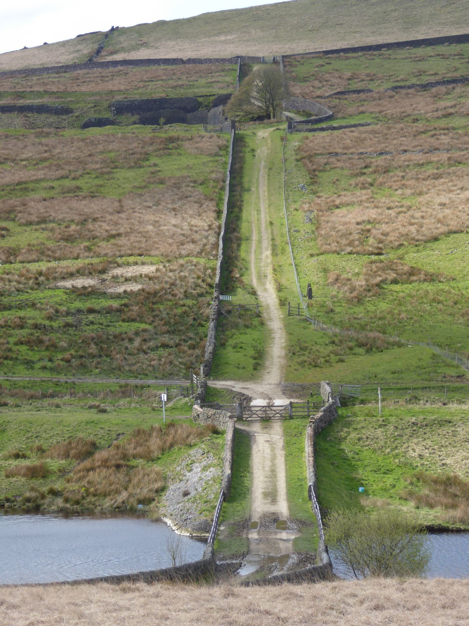 The Pennine Way, a bridle way crosses a pack bridge and climbs through moorland between fences and drystone walls.