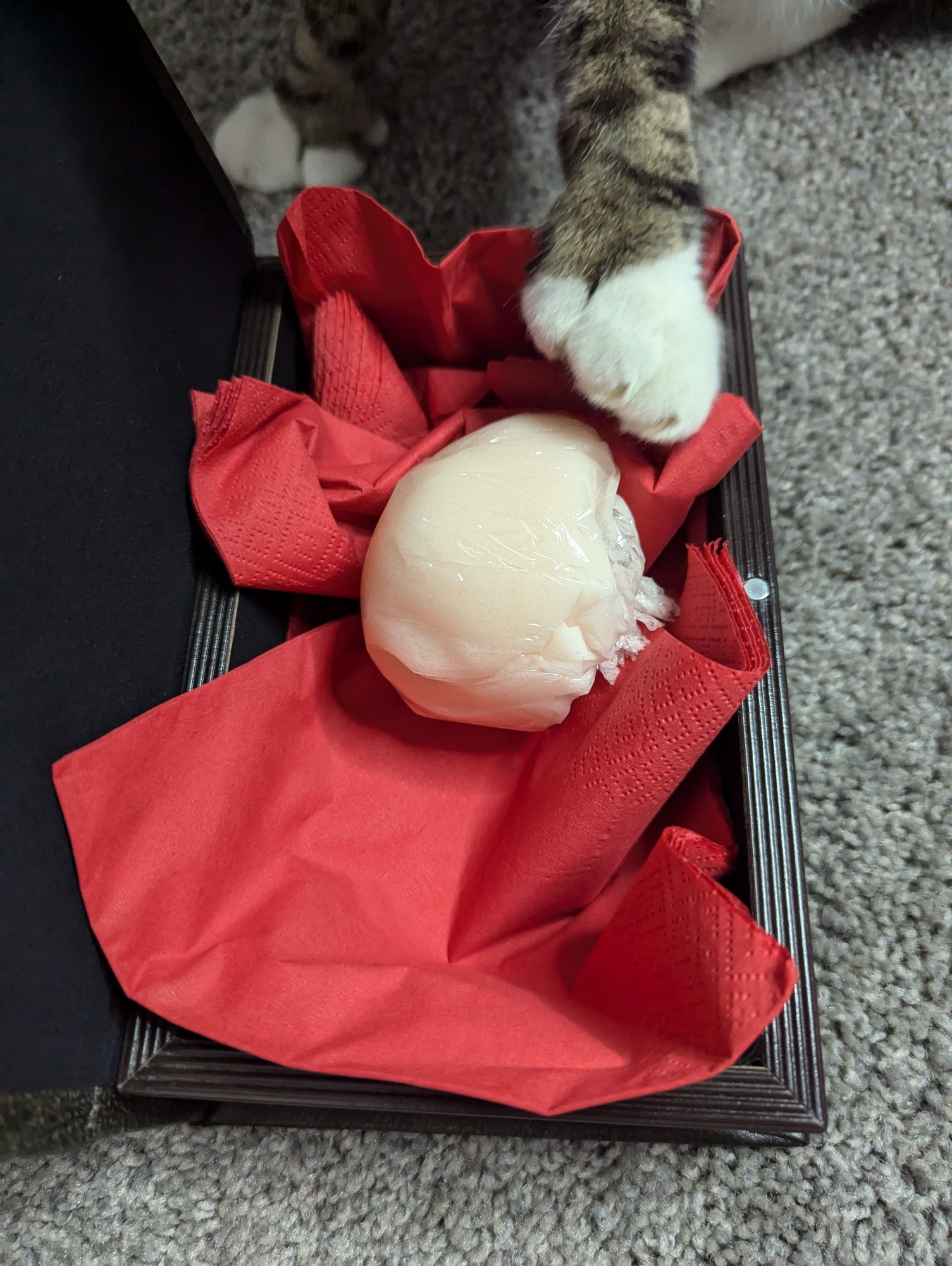 A cat paw with an extra toe about to touch a special FX gelatin mold of a heart