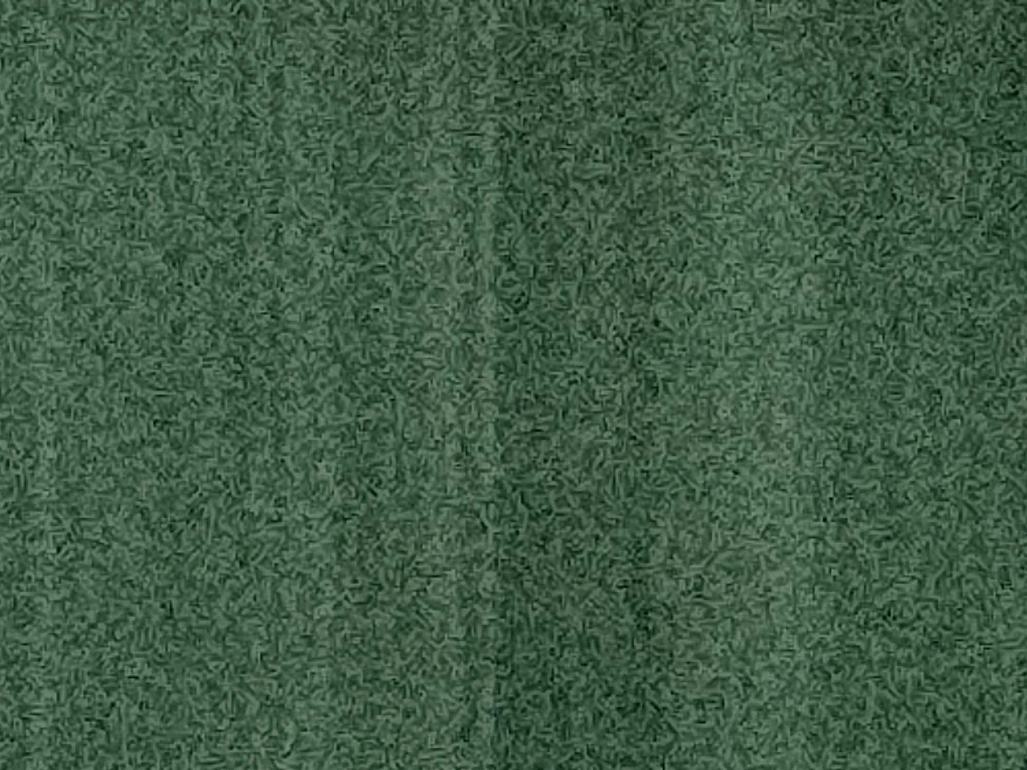 What appears to be white noise rendered in green. Some vertical stripes embedded, so it has the aura of a Karlheinz Stockhausen piece rendered into visual art by Bridget Riley.