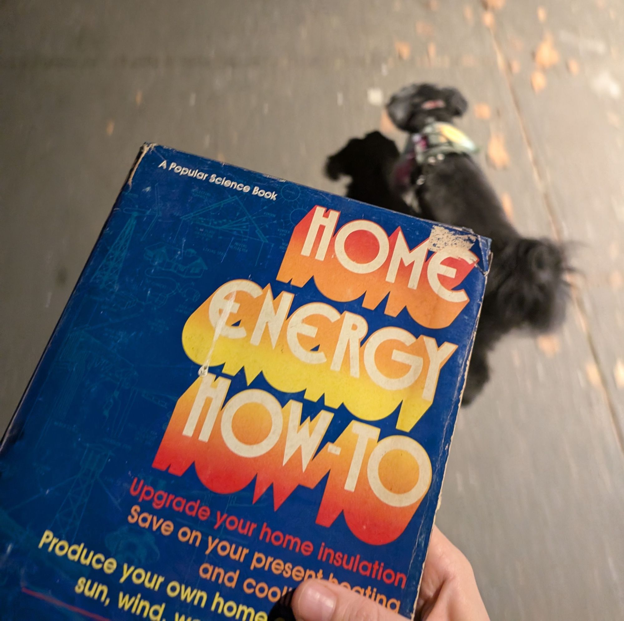 Photo of the same book in the previous post "Home Energy How-To", but this time in my hand. My dog is walking along in the background of the image.