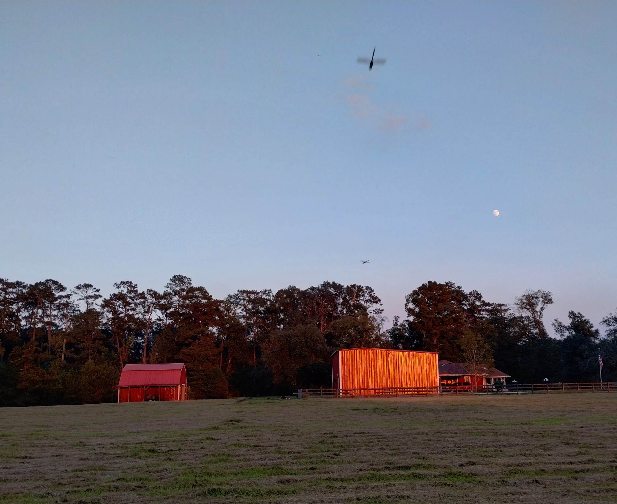 My red barn at sunset with dragonflies swarming and the moon in the distance.