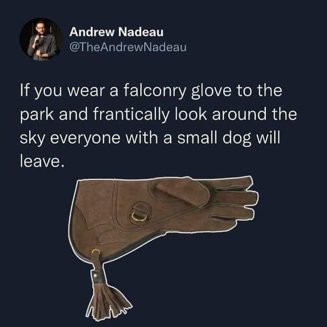 @TheAndrewNadeau on x

 If you wear a falconry glove to the park and frantically look around the sky everyone with a small dog will leave.

[pic of falconry glove]