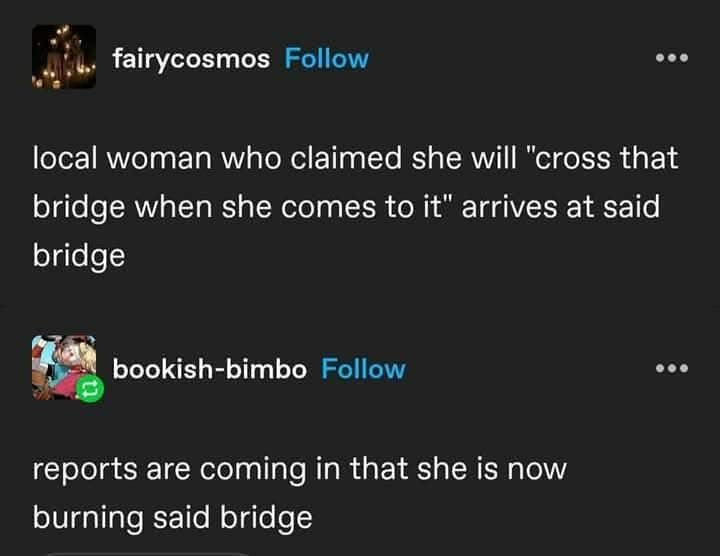 fairycosmos: local woman who claimed she will "cross that bridge when she comes to it" arrives at said bridge

bookish-bimbo replies: reports are coming in that she is now burning said bridge