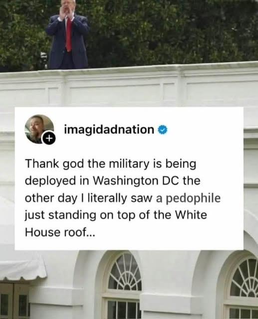 @imagidadnation on insta Thank god the military is being deployed in Washington DC the other day I literally saw a pedophile just standing on top of the White House roof...