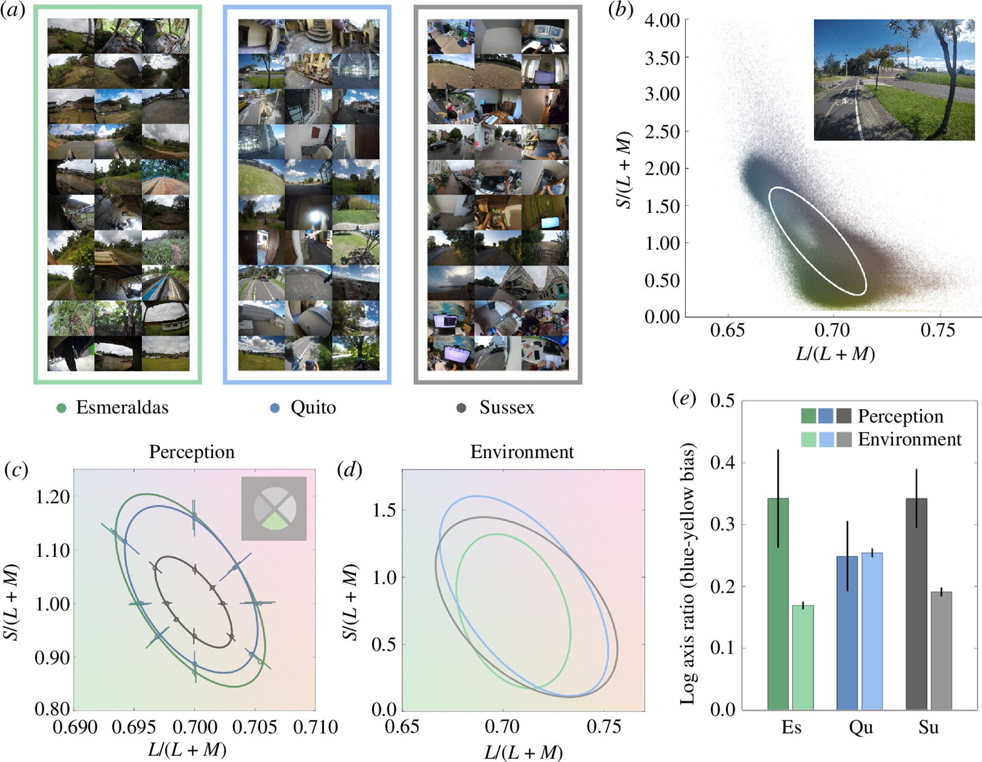 Graph of color scene statistics and color discrimination in the Esmeraldas (green) and Quito (blue), both in Ecuador, and Sussex (grey) UK