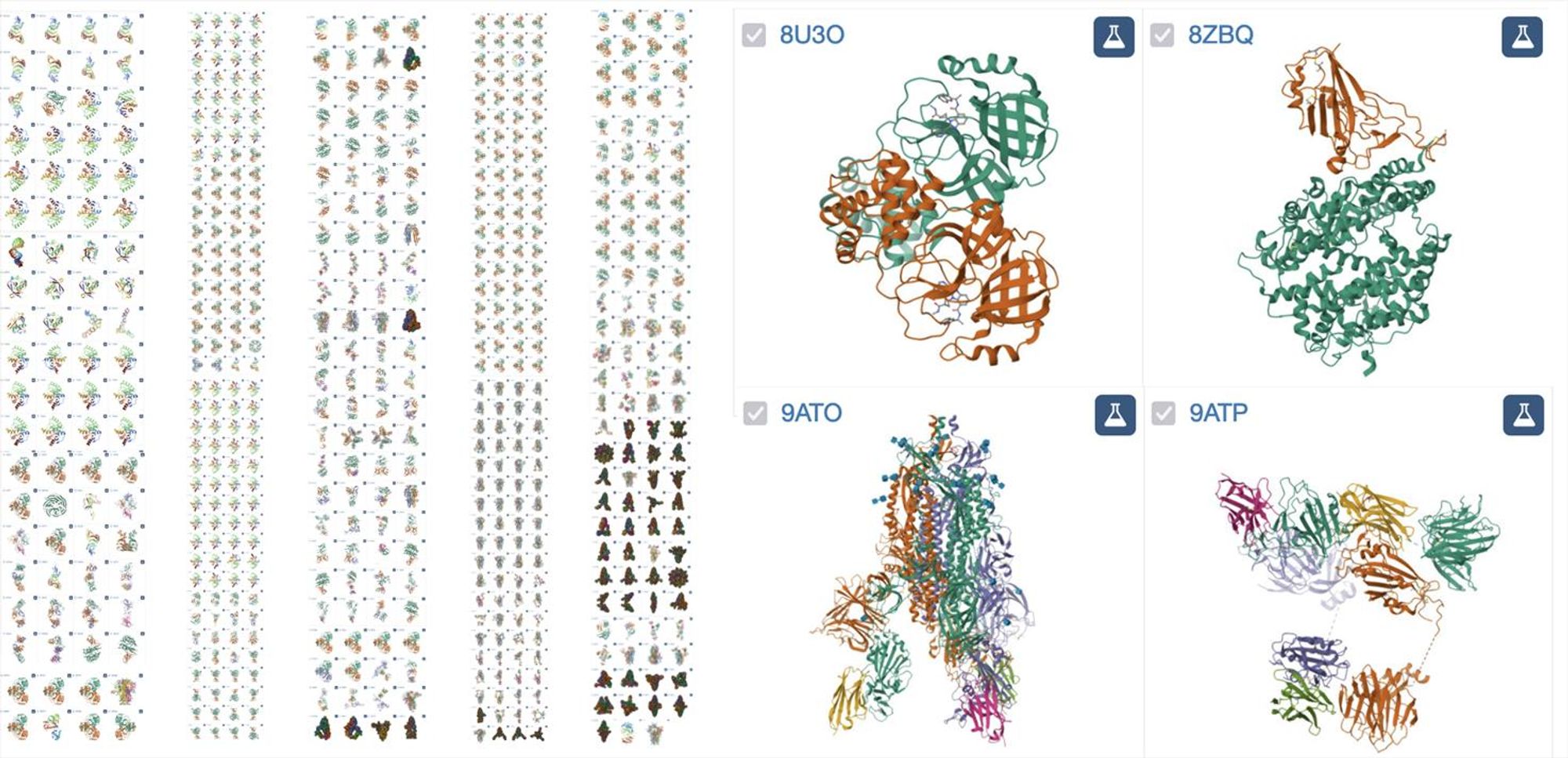 Collage of SARS-CoV-2 structures released in the PDB this year
