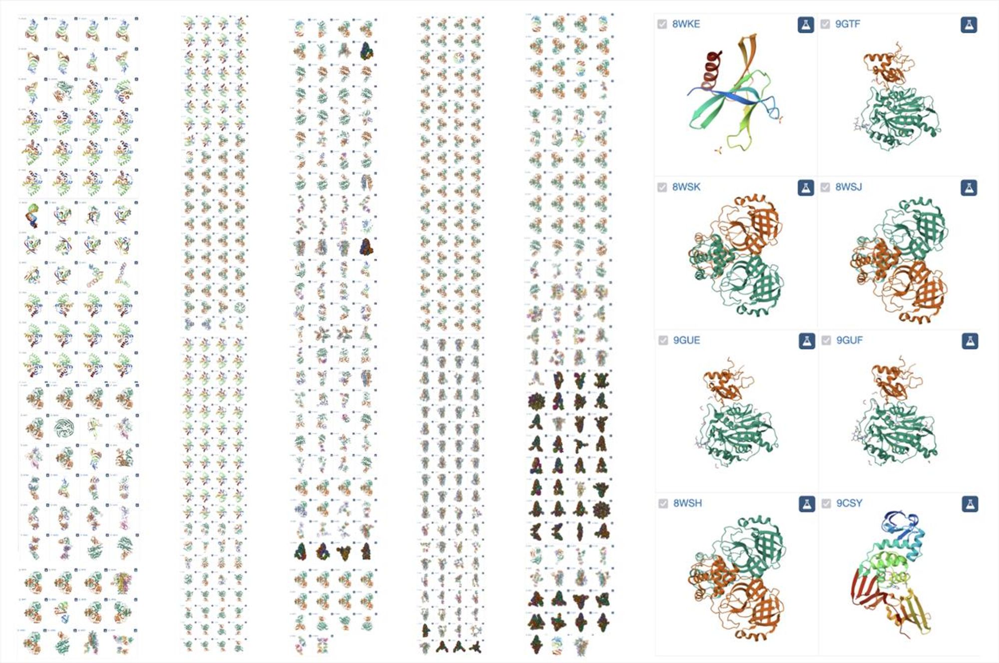 Collage of SARS-CoV-2 structures released in the PDB this year
