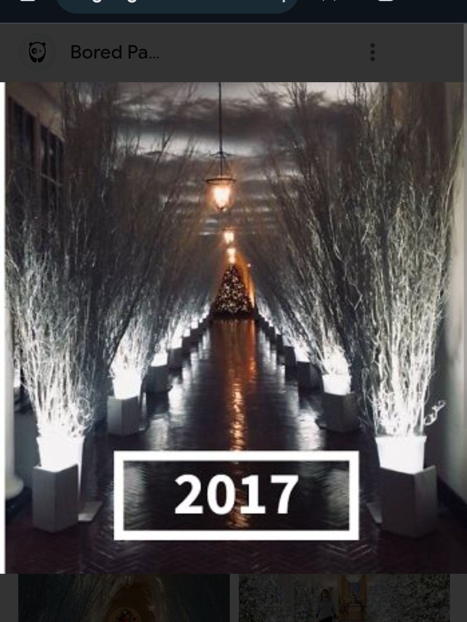 Long hallway at white house, lined with branches in buckets, alternating white with black; shiny dark floor, giving a cold, eerie effect.  2017 Christmas Decorations by Melania.