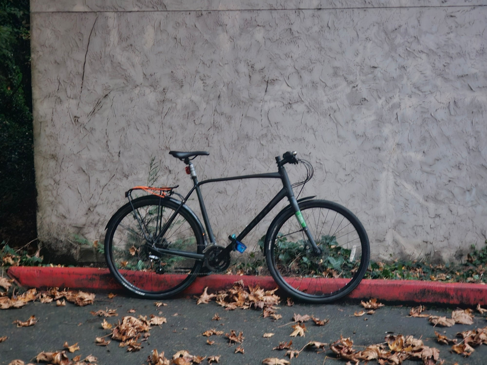 A bicycle propped up against a red curb, the bike model is a Giant escape with flat bars, fenders, a rear rack, and turquoise pedals with blue straps