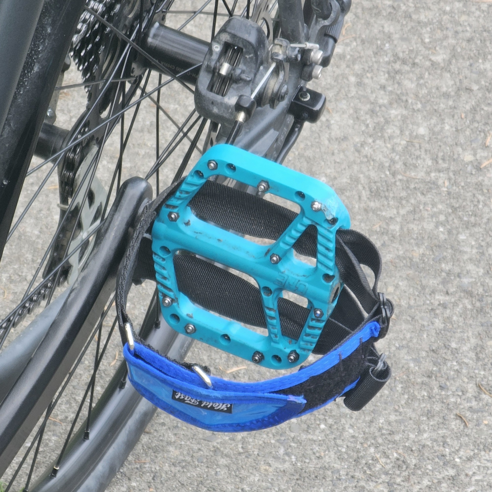 One up pedals with hold fast straps