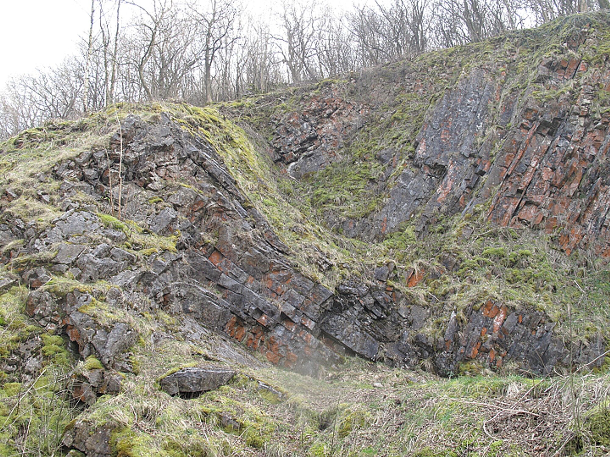 Dark grey folded rocks in a now mostly grassed over quarry. The antlicine-syncline pair have interlimb angles of about 90 degrees.