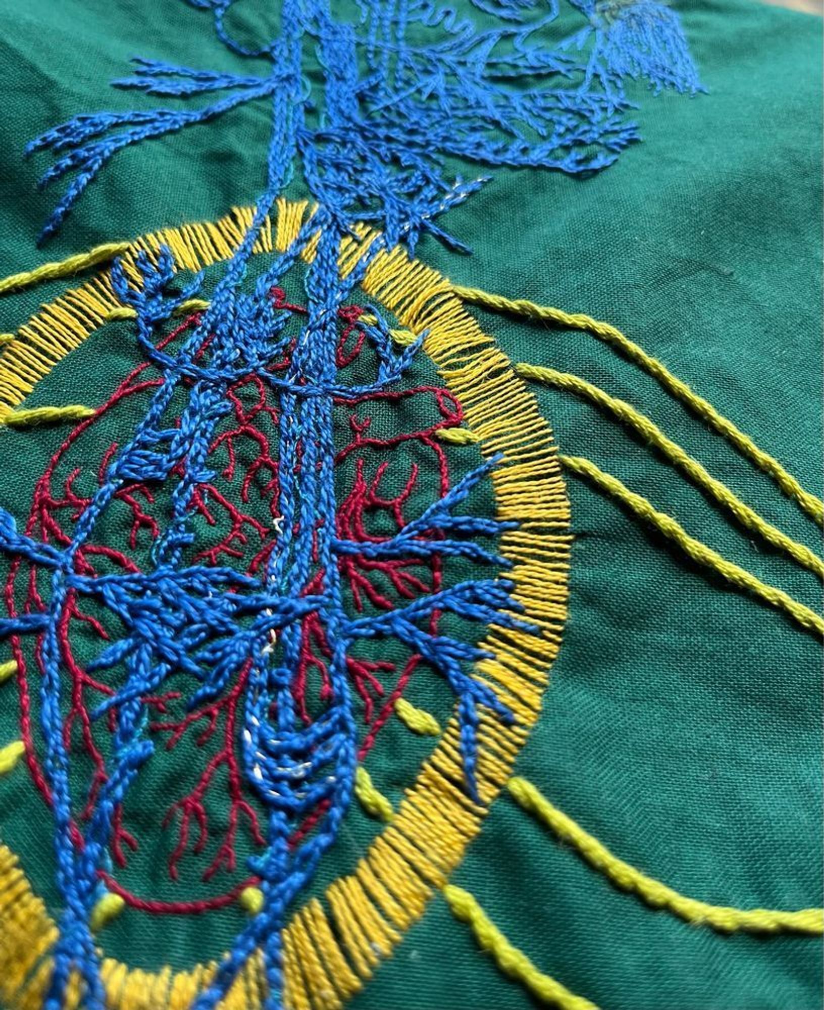 The upper chest area of a vagus nerve stitched in blue chain stitch on green cotton. An anatomical heart is stitched in two and one strand red whipped back stitch. Around it a bright golden yellow halo in a vesica piscis shape is stitched in single strand thread. From behind the heart emanate bright green/yellow stem stitch curved lines. The angle of the camera is tilted to show the gold thread woven into the recurrent laryngeal nerve.