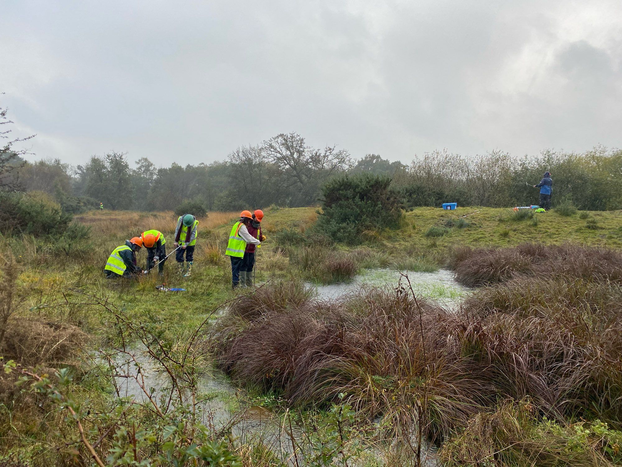 Very wet students in hi-vis pointing at and sampling a well-vegetated pond with a distinct rampart.