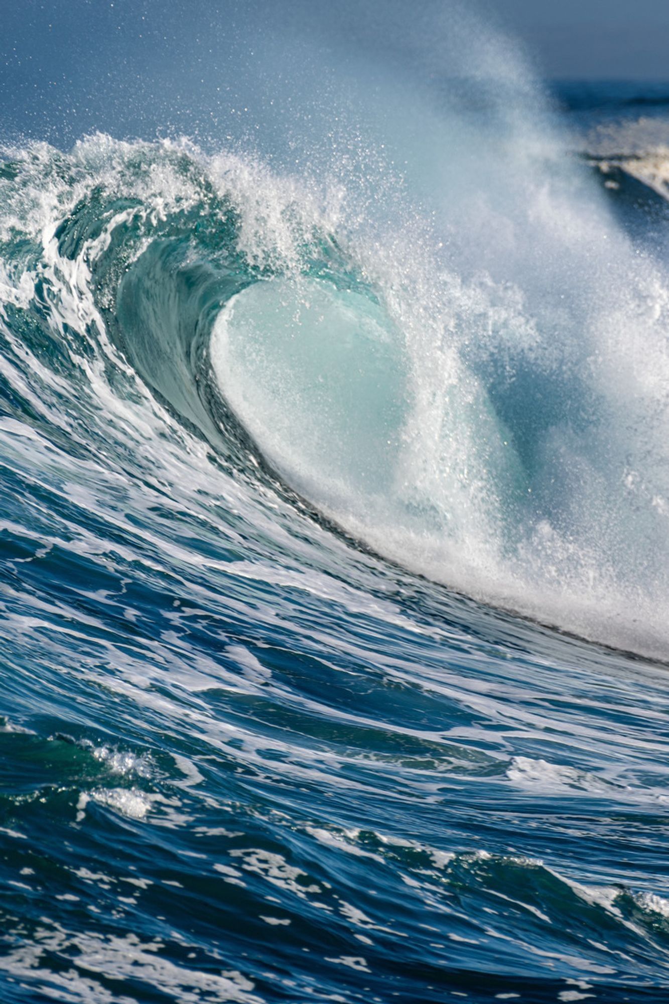 A crashing wave curls across the picture from left to right.