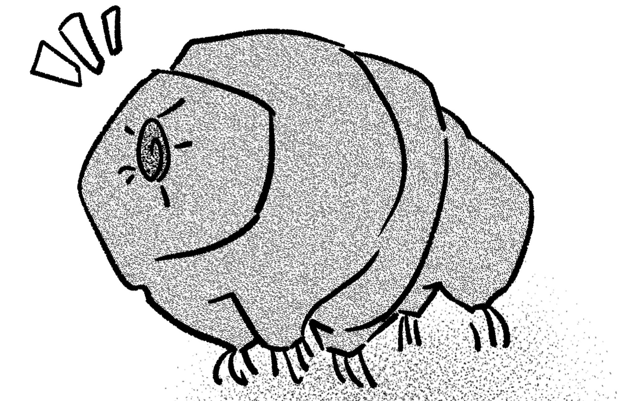 A tardigrade standing at attention.