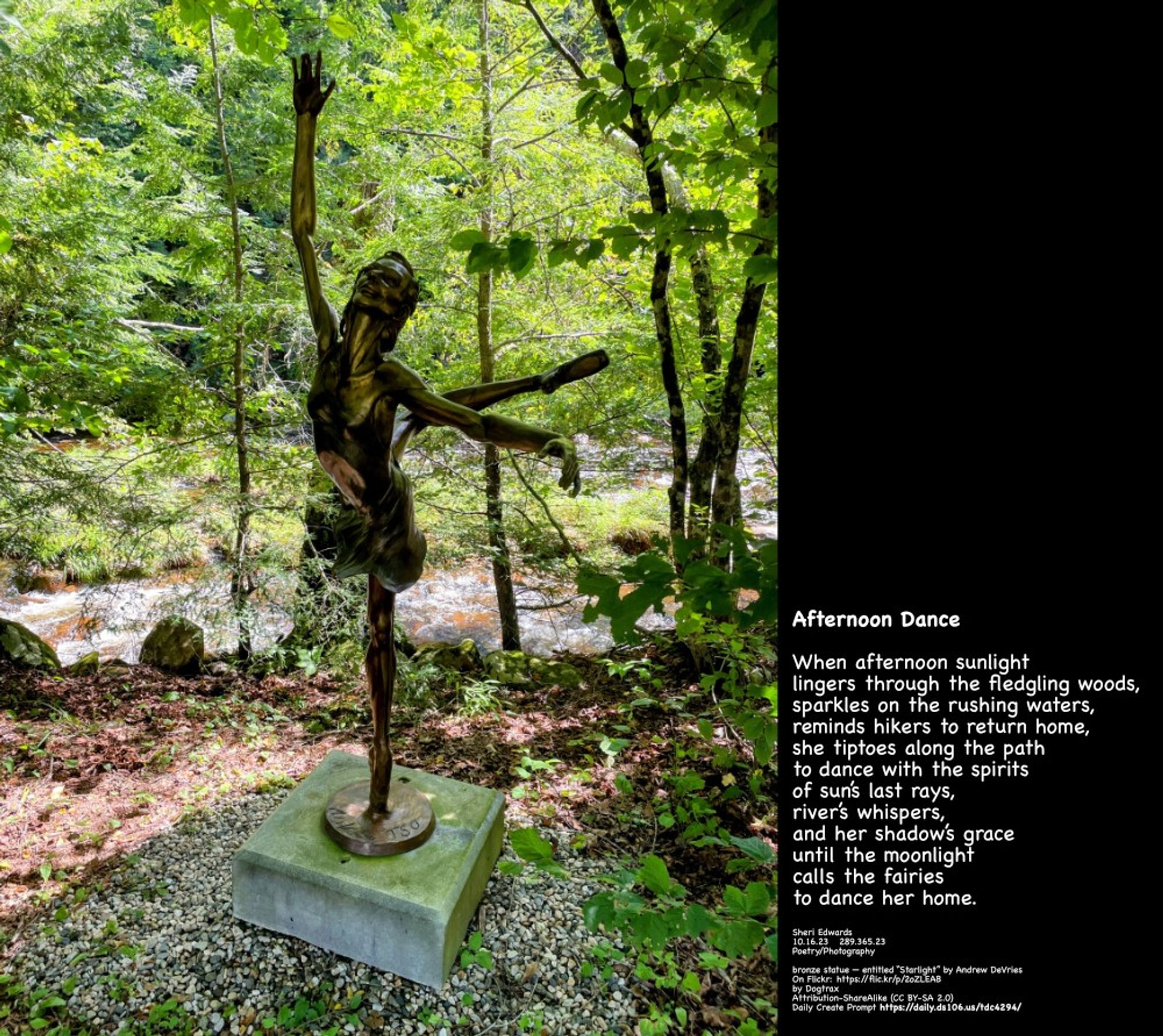 This bronze statue — entitled “Starlight” by Andrew DeVries —  is part of the DeVries Sculpture Trail in Western Massachusetts, USA, and is located, along with a selection of others, next to a river. She’s caught in dance and joy under trees, near a river. For today’s prompt, write a poem or piece of prose about her and perhaps, what she is dancing to.

bronze statue — entitled “Starlight” by Andrew DeVries
On Flickr: https://flic.kr/p/2oZLEAB
by Dogtrax
Attribution-ShareAlike (CC BY-SA 2.0)
 with poem:
Afternoon Dance

When afternoon sunlight
lingers through the fledgling woods,
sparkles on the rushing waters,
reminds hikers to return home,
she tiptoes along the path
to dance with the spirits
of sun’s last rays,
river’s whispers,
and her shadow’s grace
until the moonlight
calls the fairies
to dance her home.

Sheri Edwards  
10.16.23   289.365.23
Poetry