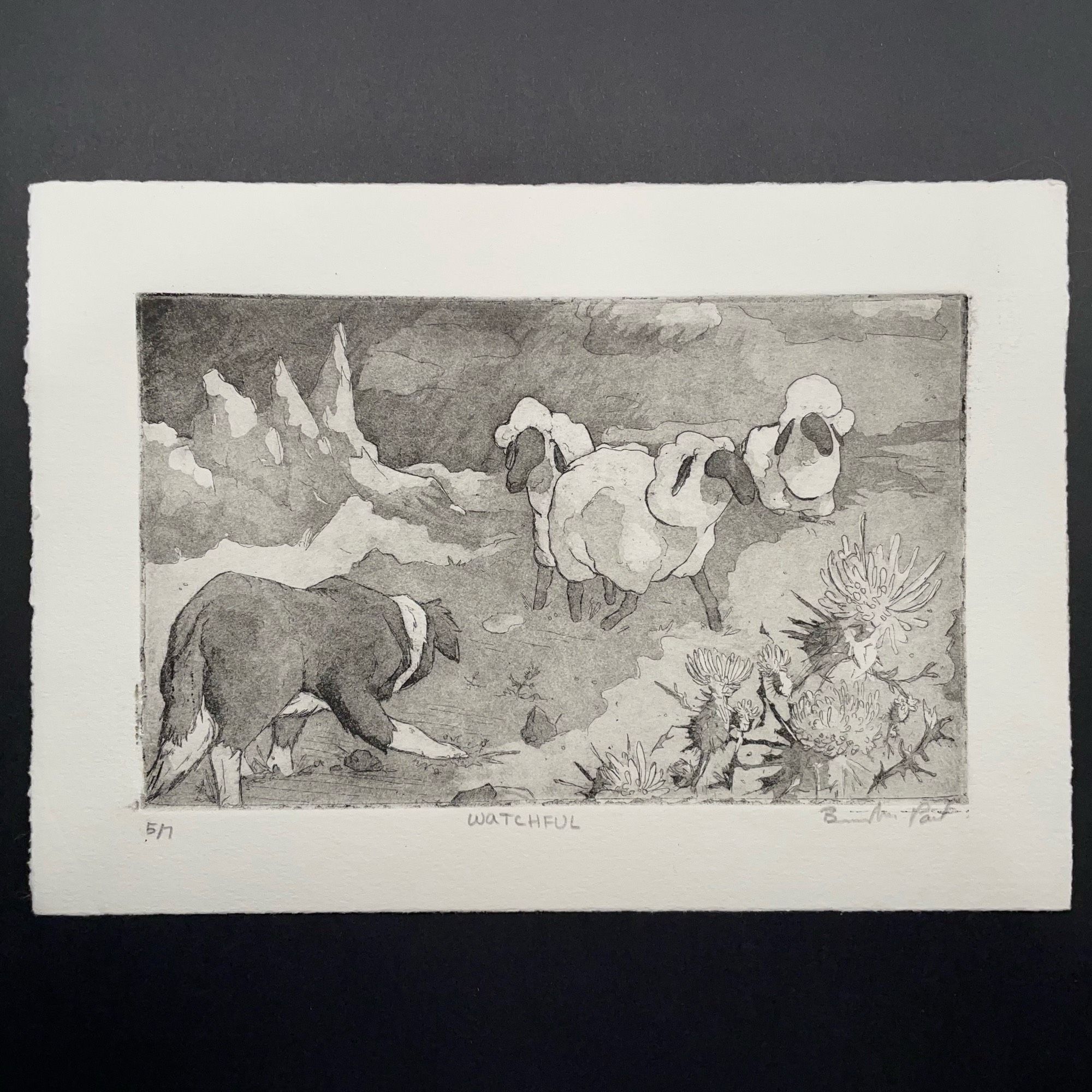 Intaglio print of border collie herding sheep in the Scottish Highlands