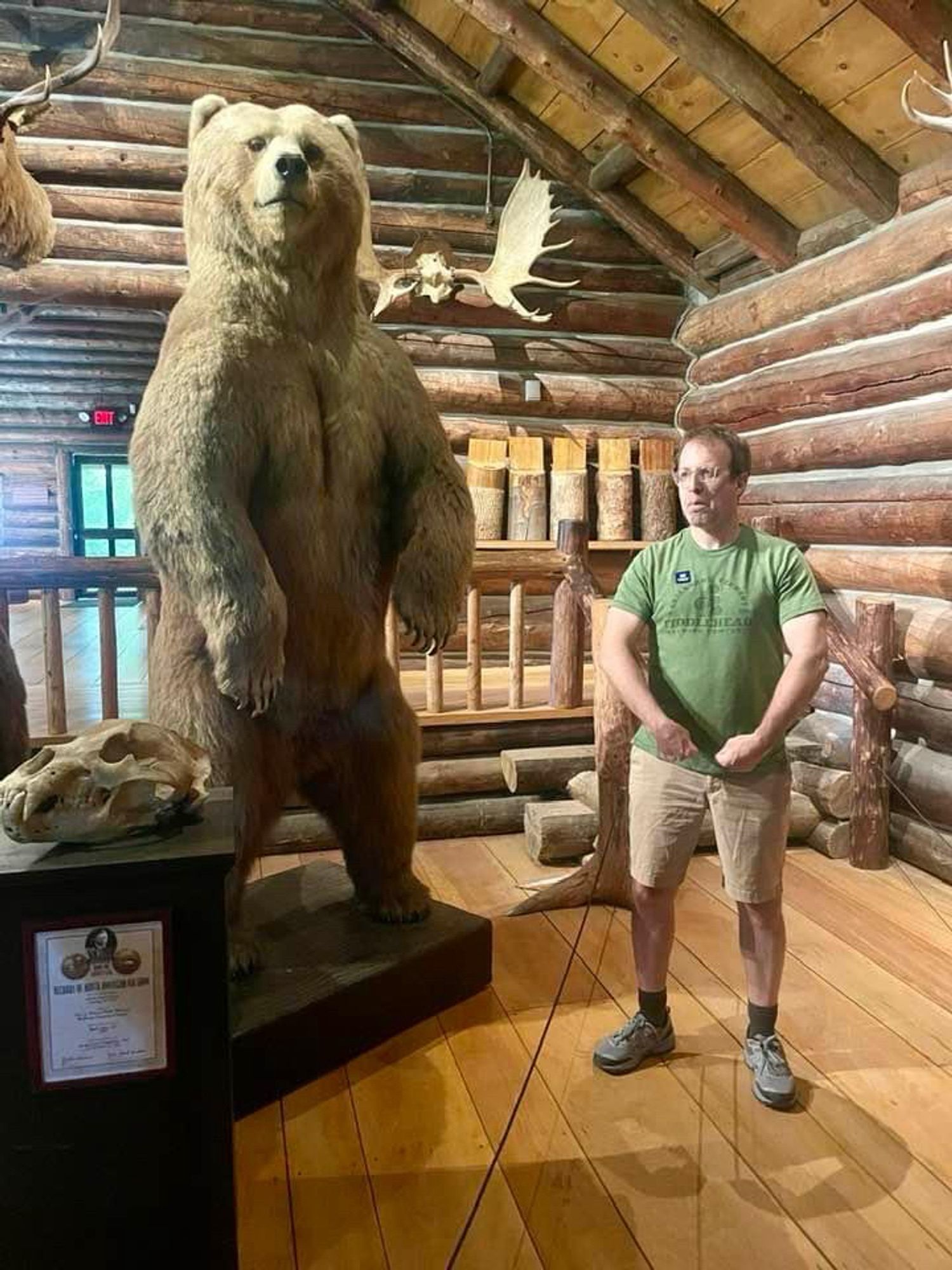 White man wearing a green t-shirt and tan shorts, glasses and short cropped dark hair. He’s standing and imitating the standing stance of a large taxidermied bear on a black platform inside a room built out of logs.