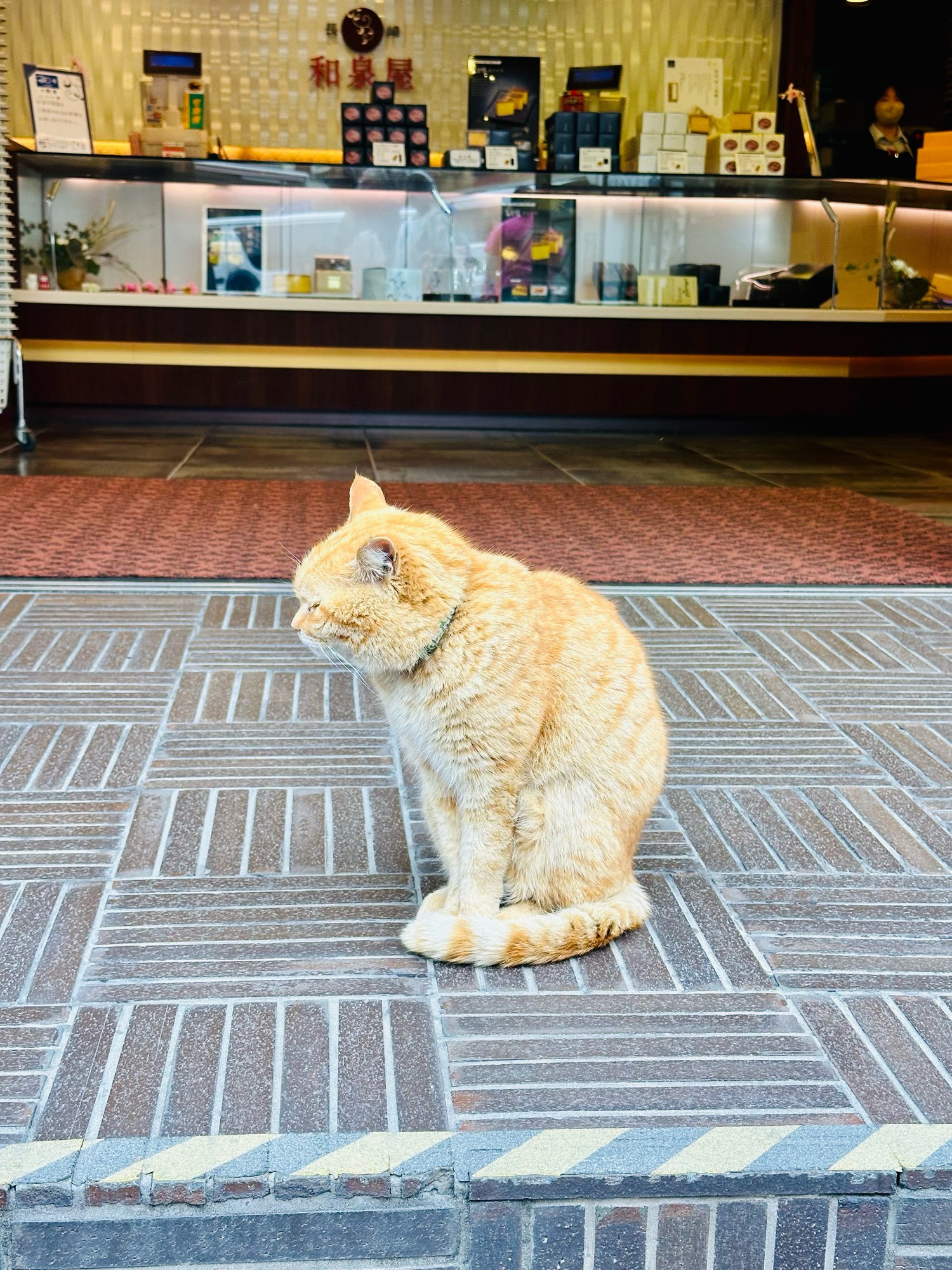 an orange tabby cat sitting in front of a souvenir shop in Nagasaki, Japan, facing away from the camera